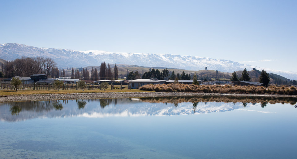 Pisa Range vineyards and wine tasting with Wanaka Wine Tours