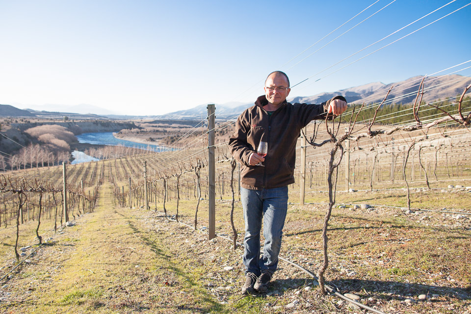 Explore Central Otago vineyards with Wanaka Wine Tours