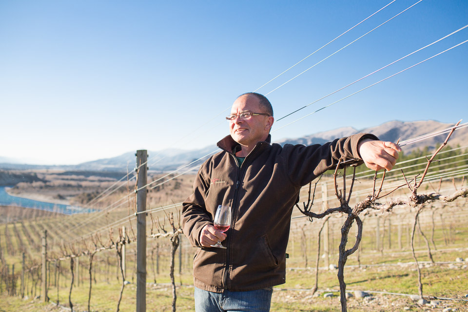 Explore Central Otago vineyards with Wanaka Wine Tours