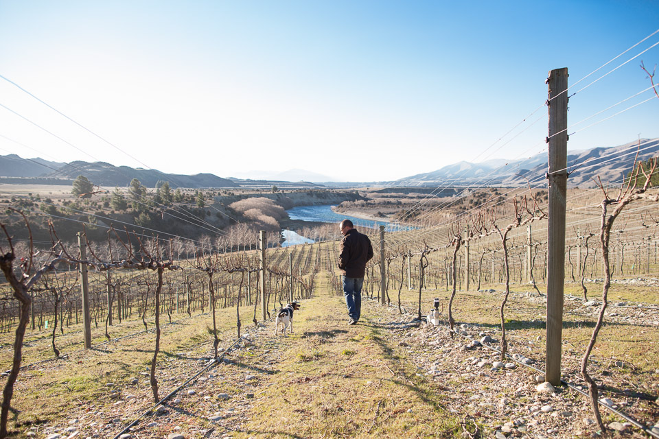 Explore Central Otago vineyards with Wanaka Wine Tours