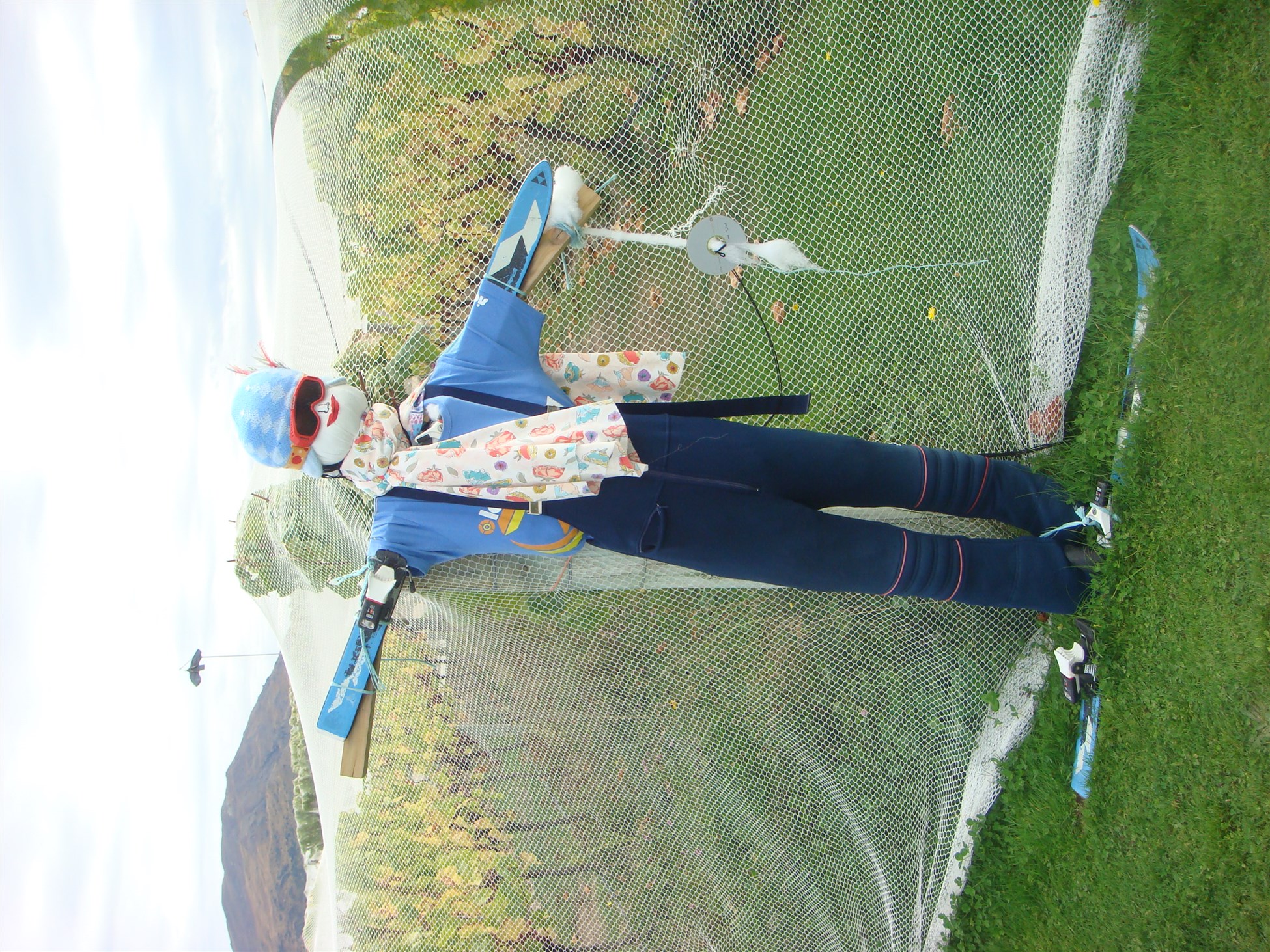 Vineyard scarecrow in Central Otago