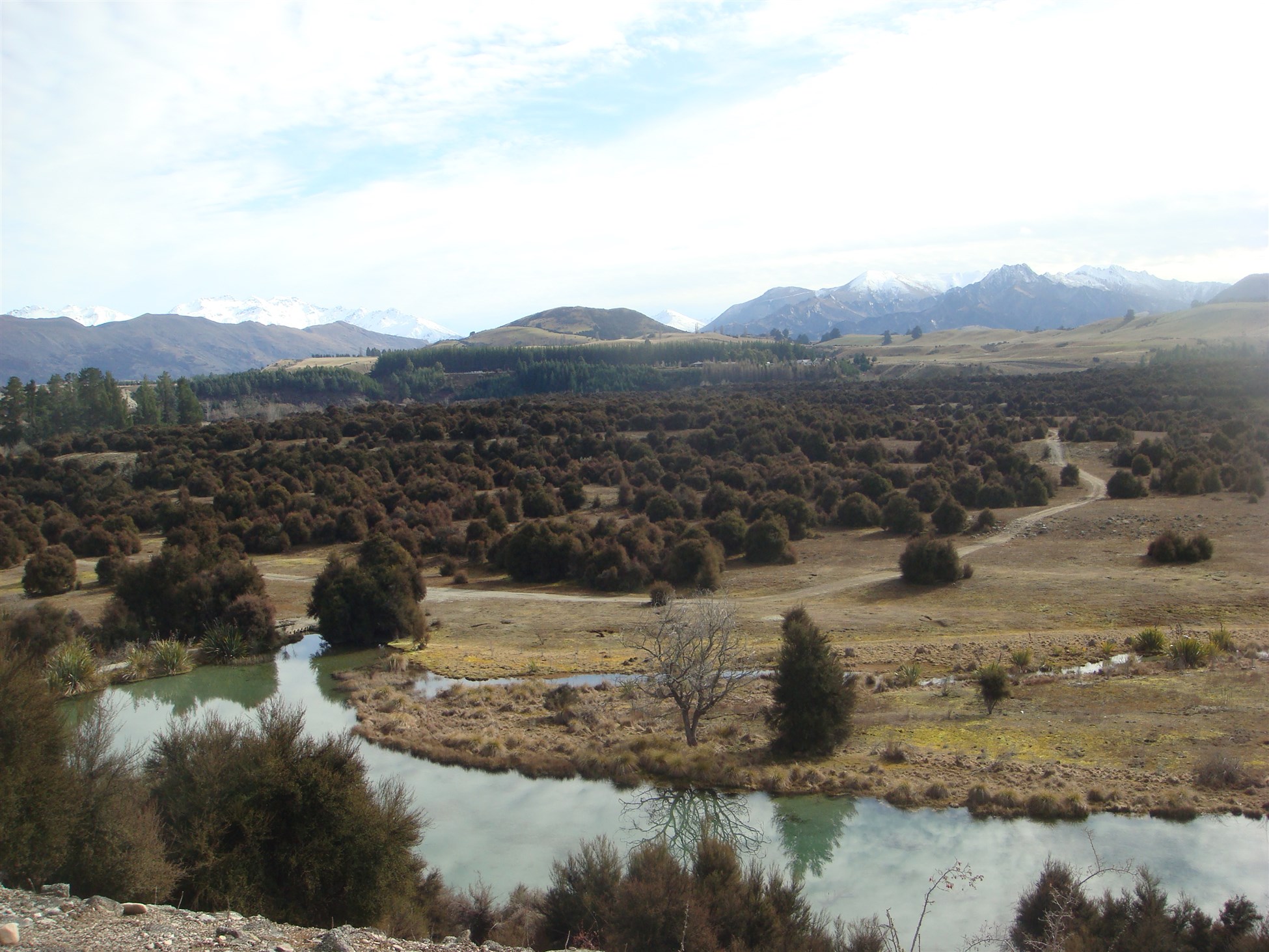 Mountain bike single track in Wanaka with Southern Guides