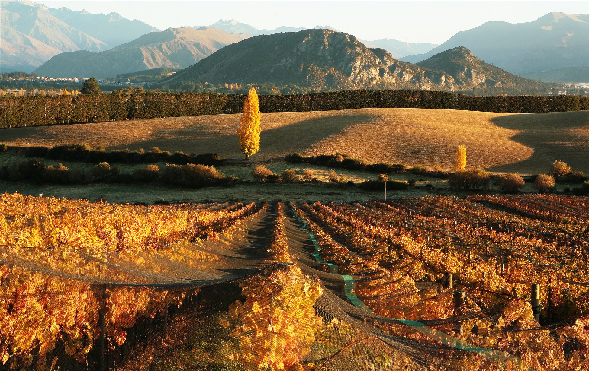 Lake Wanaka in Autumn