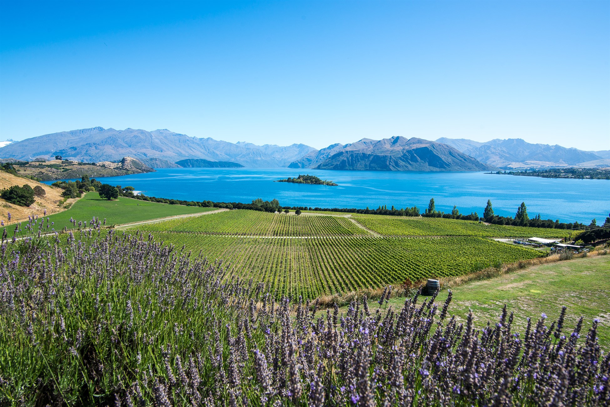 Lake Wanaka Central Otago New Zealand - fun things to do with Southern Guides like tramping