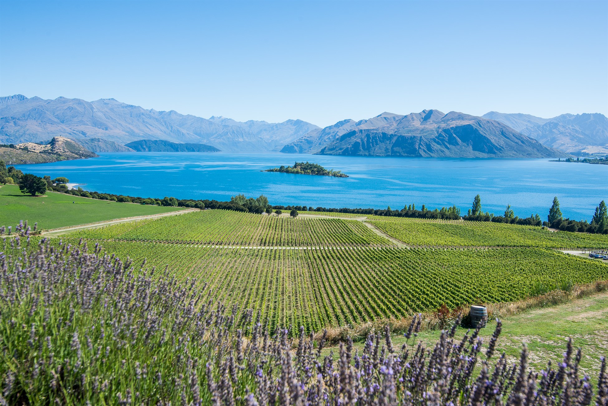 Lake Wanaka Central Otago New Zealand - fun things to do with Southern Guides like tramping