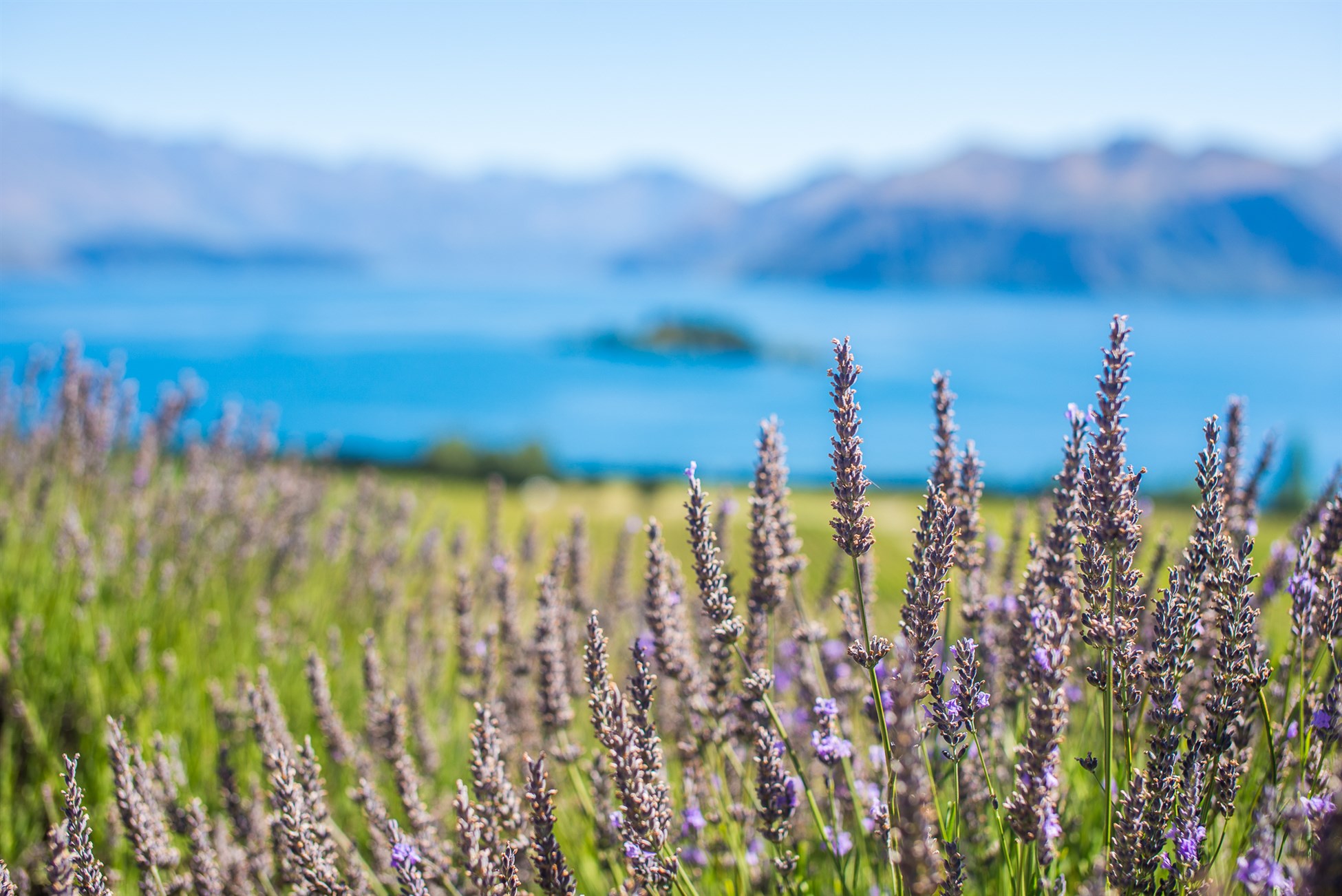 Lake Wanaka Central Otago New Zealand - fun things to do with Southern Guides like tramping