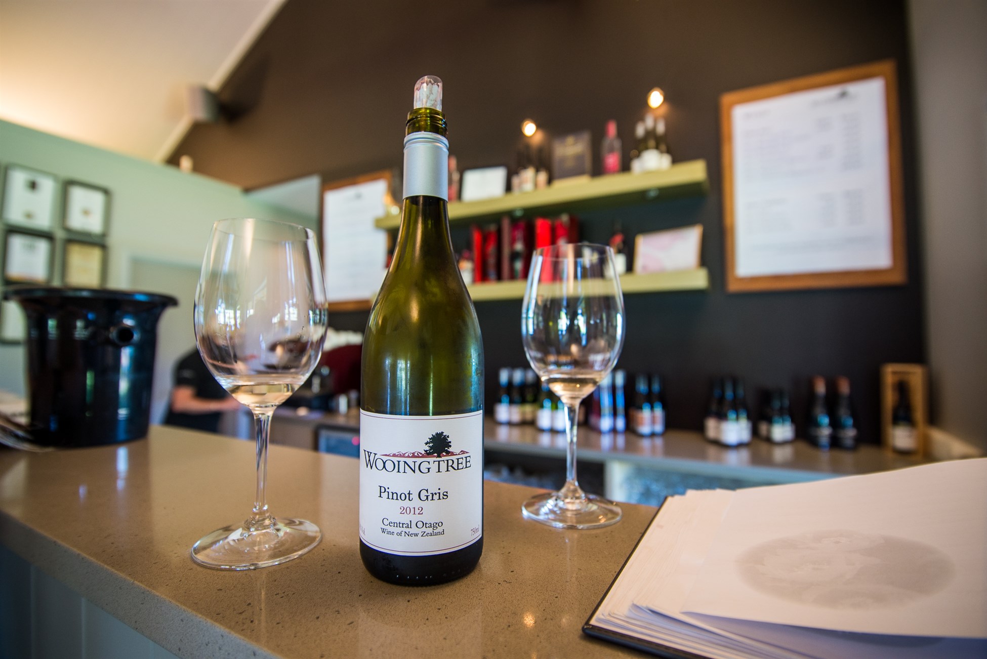 Wine Tasting Central Otago pinot noir with Wanaka Wine Tours