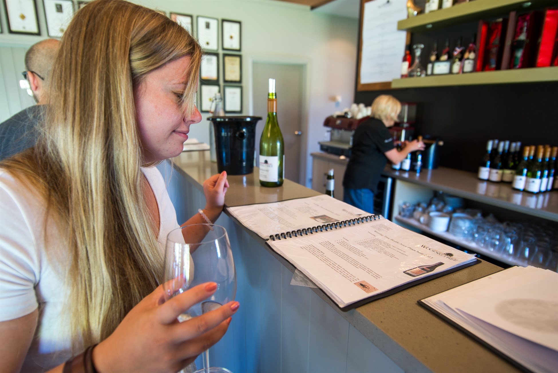 Wine Tasting Central Otago pinot noir with Wanaka Wine Tours