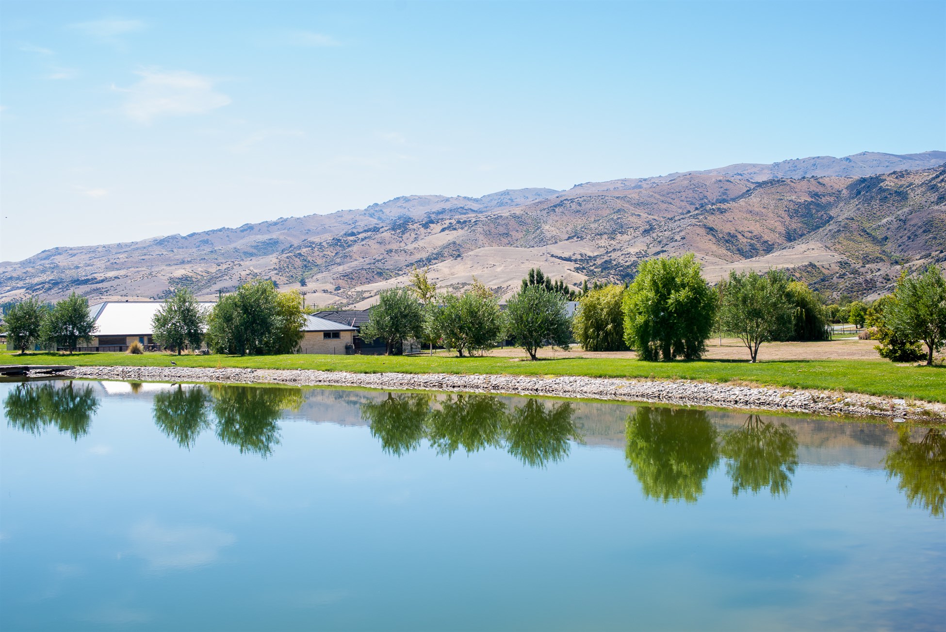 Cromwell vineyards visited while touring Central Otago vineyards with Wanaka Wine Tours