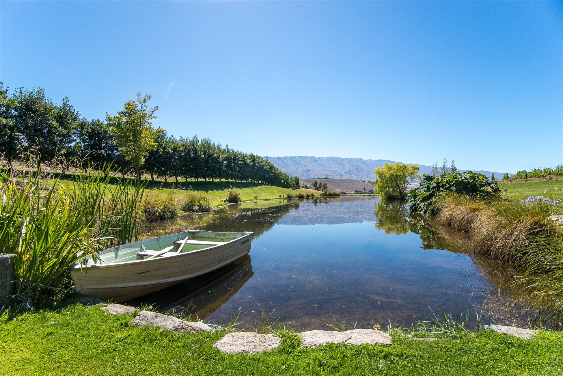 Taste the best Central Otago Pinot Noir's and Rose's with Wanaka Wine Tours