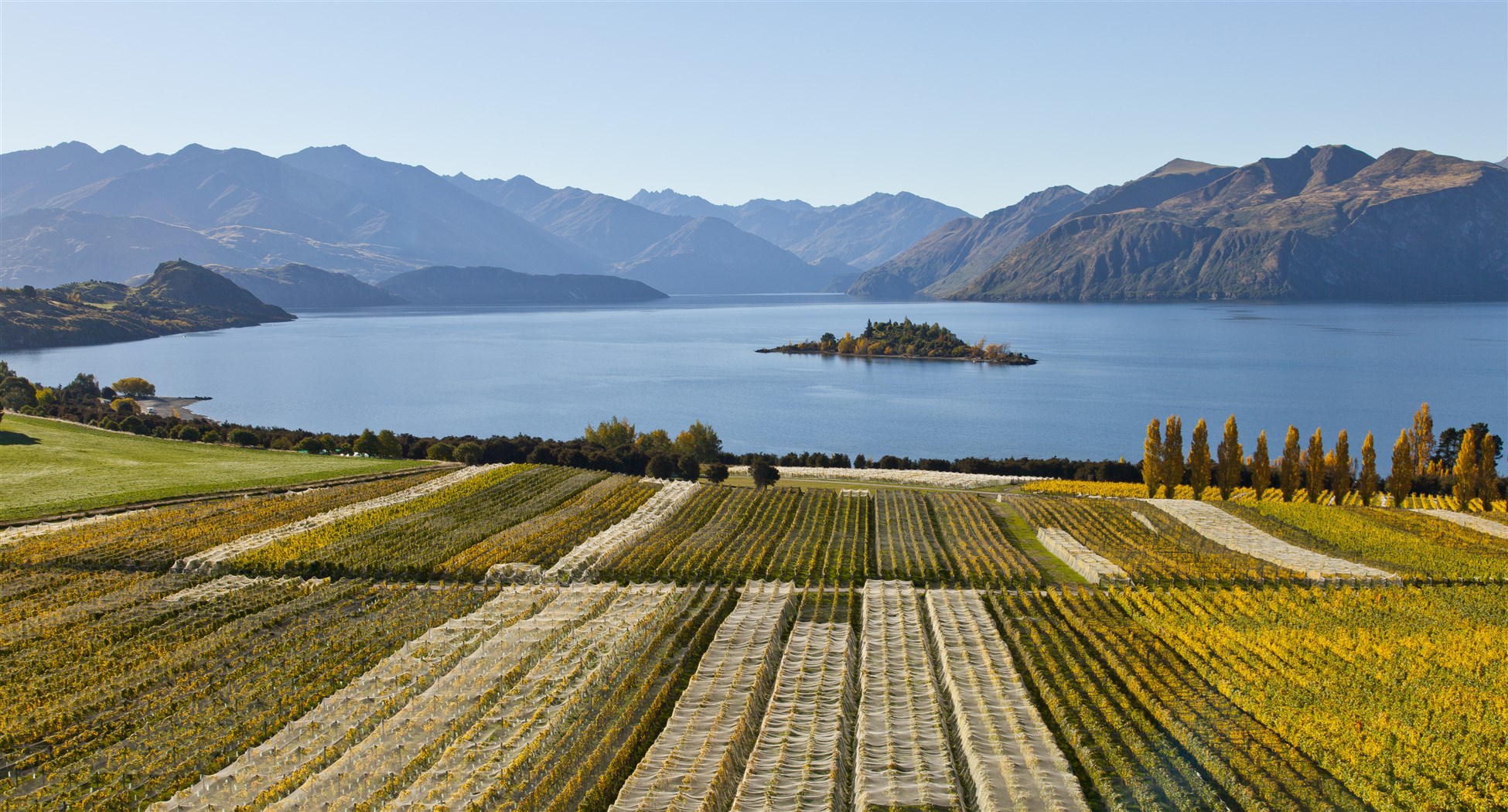 Rippon vineyard in Wanaka Central Otago - wine tasting tours with ...