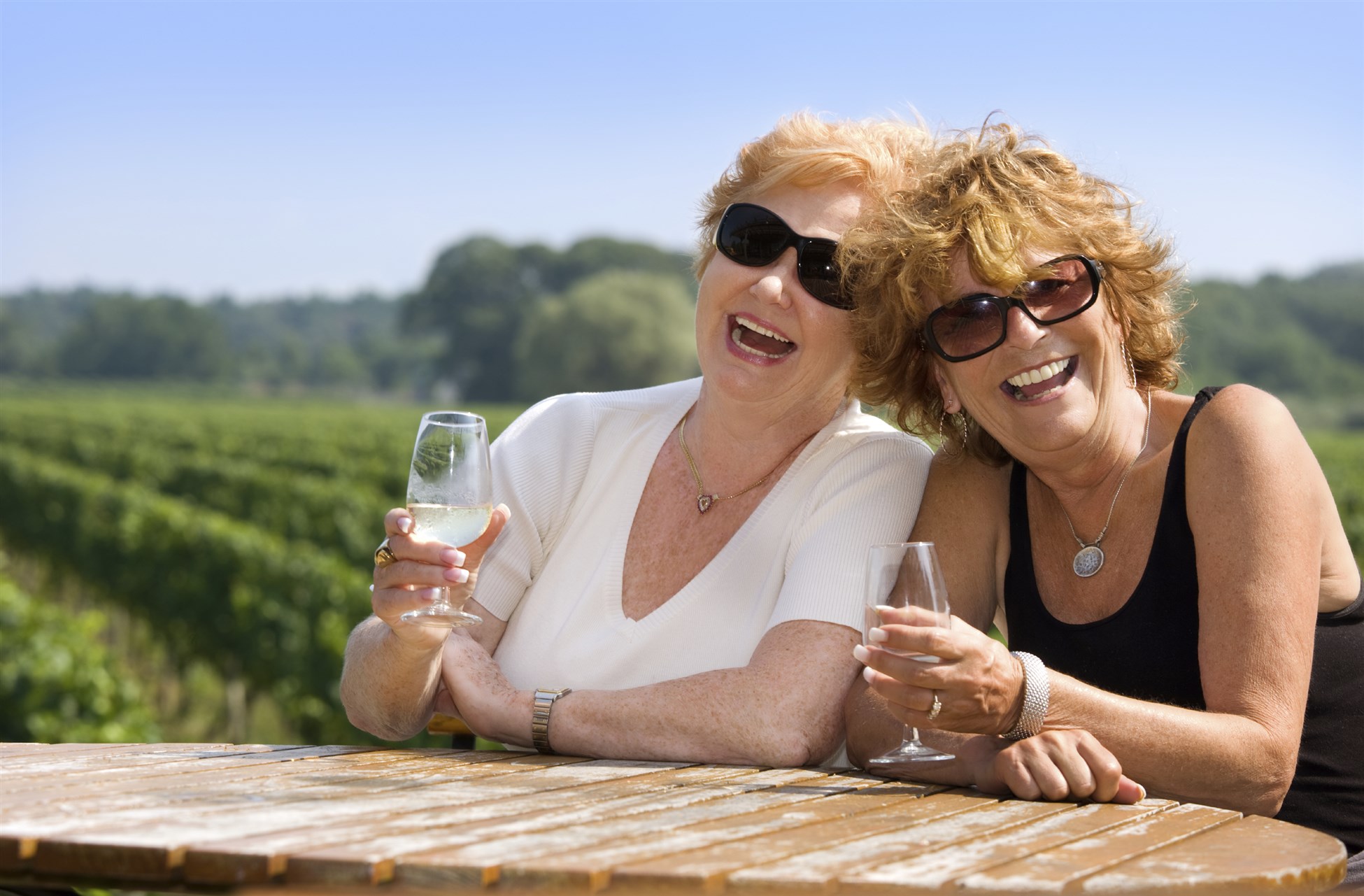 Friends enjoying wine tasting in Central Otago with Wanaka Wine Tours in New Zealand