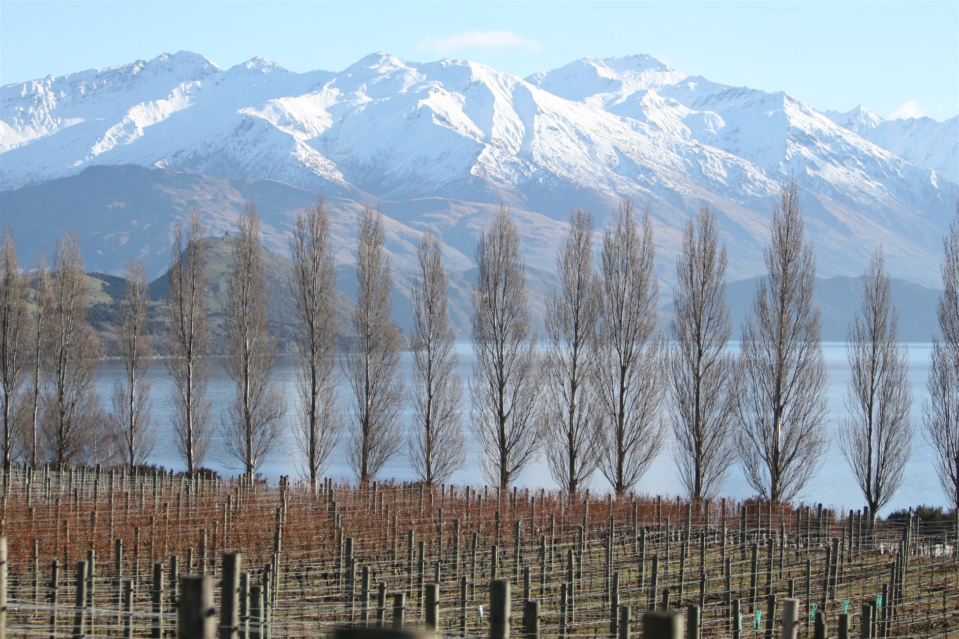 Rippon vineyard in Wanaka Central Otago - wine tasting tours with Wanaka Wine Tours